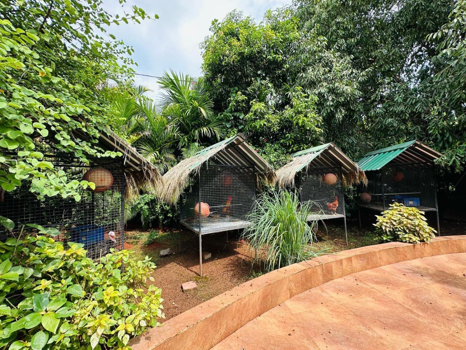 Elitehotels And Resorts Pvt Ltd Alībāg Extérieur photo